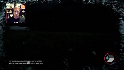 DID THAT TREE MOVE?!