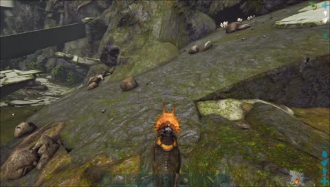 Новый мир. Новые приключения.