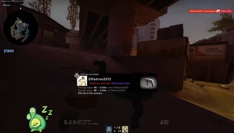 DOGLICKER plays CS - no giveaway