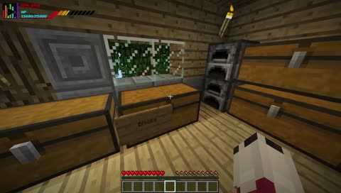 How does steve work out?