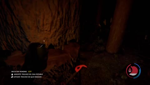 La pire erreur sur the forest xD