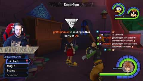 [KH1] 👑 Secret Bosses, Journal Completion & Level Grinding 👑