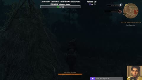 The Witcher 3 DLC Hearts of Stone