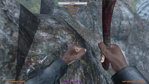 Стрим твоей жизни