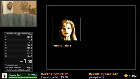 Batman: The Video Game