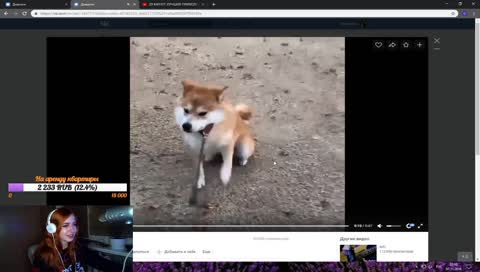 стример для народа ( ͡° ͜ʖ ͡°)