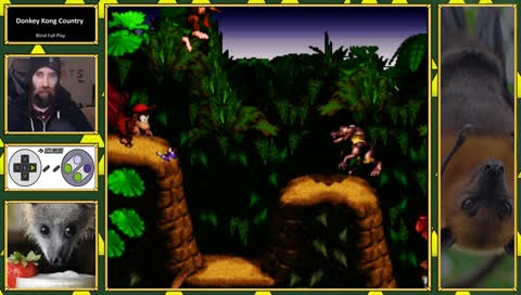 Donkey Kong Country Blind First-Time Playthrough!