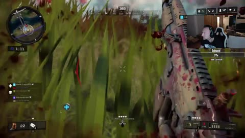 Mein Vater flibt aus