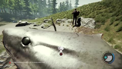 The Forest Survival Adventure