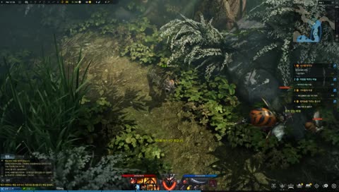 ยาวๆปาย  Road to level 50