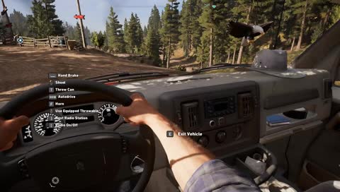 Far Cry 5