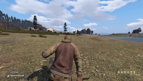 Dayz Beta