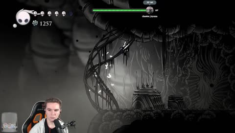 [ENG][PC] Blind playthrough - hollow knight ! 