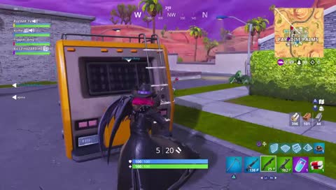 Fortnite BattleRoyale Playing With Followers   