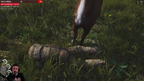 horse eating bum