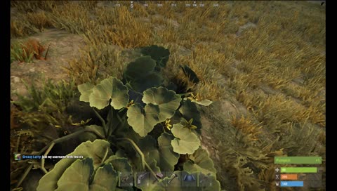 Rust Stream, just goin about my businesss