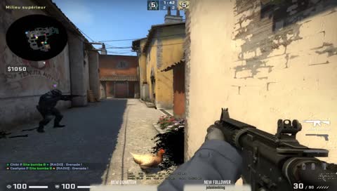 Spécialement pour Lombre le grand, le vrai !!! [FR]