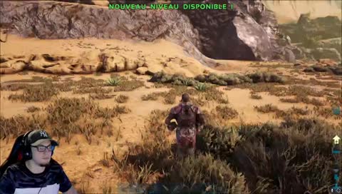 le taming de la pepite 