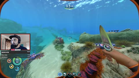 Subnautica