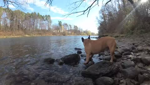 ⚡Hier ist Frankie ➜ [⊔⊓⋿☈hört solide]  !irl