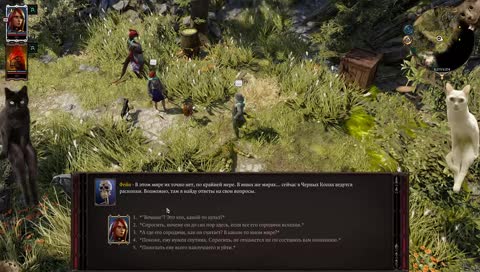 Сильный и независимый стример.