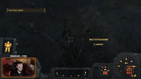 YUM YUM DEVILED EGGS