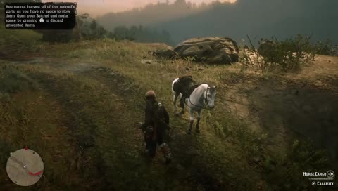 [Eng] Red Dead 2 Chill Stream [1080p60] 