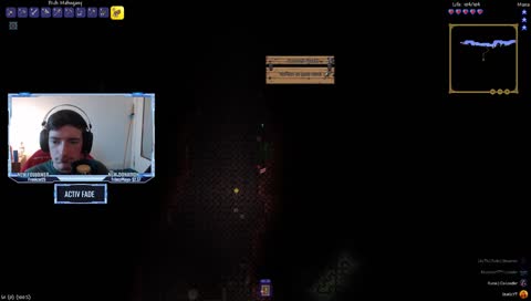 Terraria with the bros