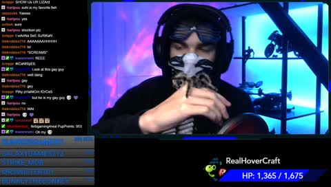 4K Today? Pog? [2x] !help !discord !mch