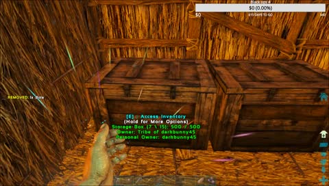 Ark first time