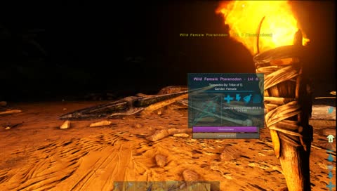 Ark Survival Evolved. 3 Bros in a discord call hundred of miles away because they are cool.
