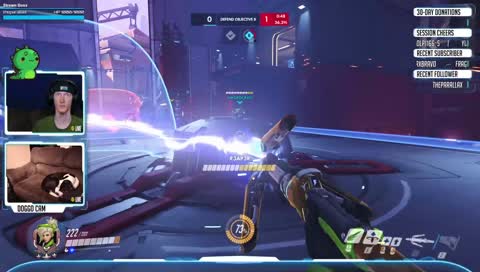 Support Main Comp! + Doggo Cam