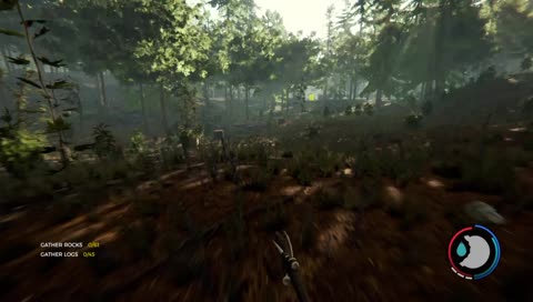 Building a Settlement in the forest ps4 // Join if you Want