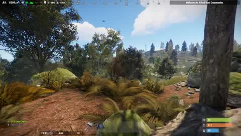 Day 3 Building Eagles Nest