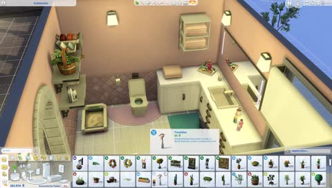 test sims 4