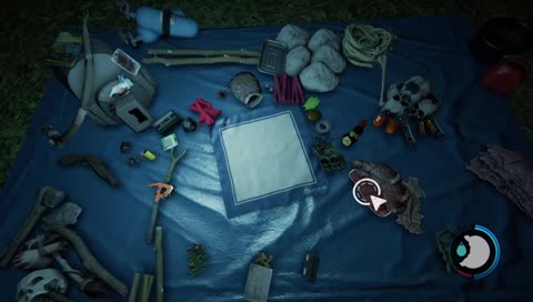 The Forest för elis