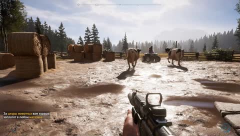 Far Cry 5. Воле Отца противиться нельзя