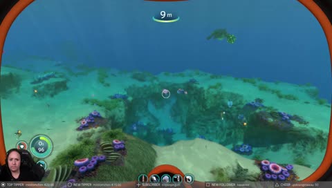 Seepferdchen Schwimmtest [DE/ENG]