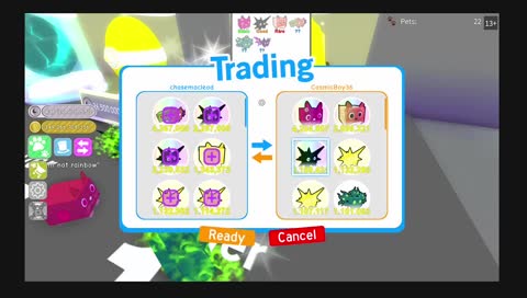 pet sim Xbox name is SKchasemacleod