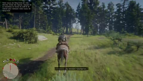 Red Dead Rédemption 2 "[SPOIL end game] Poissons finaux 2,chasse,tuto possible" #0040
