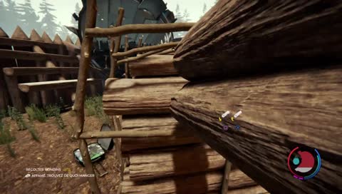 The Forest, le bûcheronnage de qualité ! 