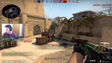 Content UKCL- !Jasper for a cute dog <3