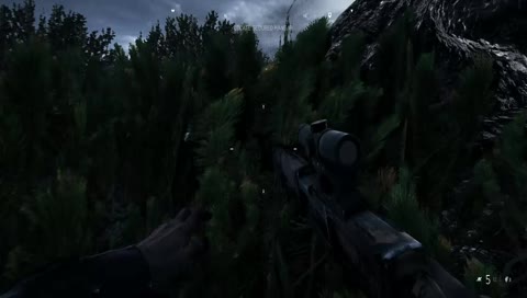 Single Player Campaigns