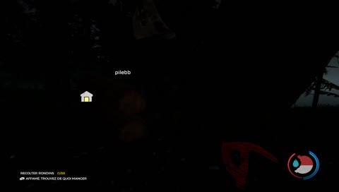 The forest en duo avec El provencal 