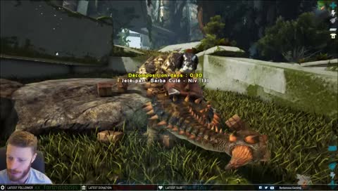 Build & Tame Sur Extinction !