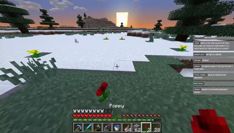 Vanilla MC Survival - Day 3