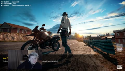 Pinky and the Brain feat. Yogi Bear