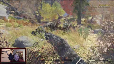 Un Viking et un Blond sur Fallout!