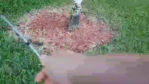 Fishin with my son, right by the house