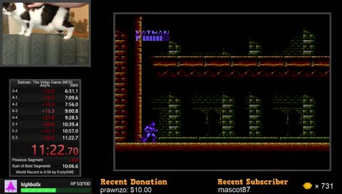 Batman: The Video Game